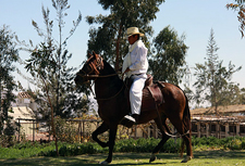 Peru-Arequipa-Colca Canyon Explorer Ride on Peruvian Pasos